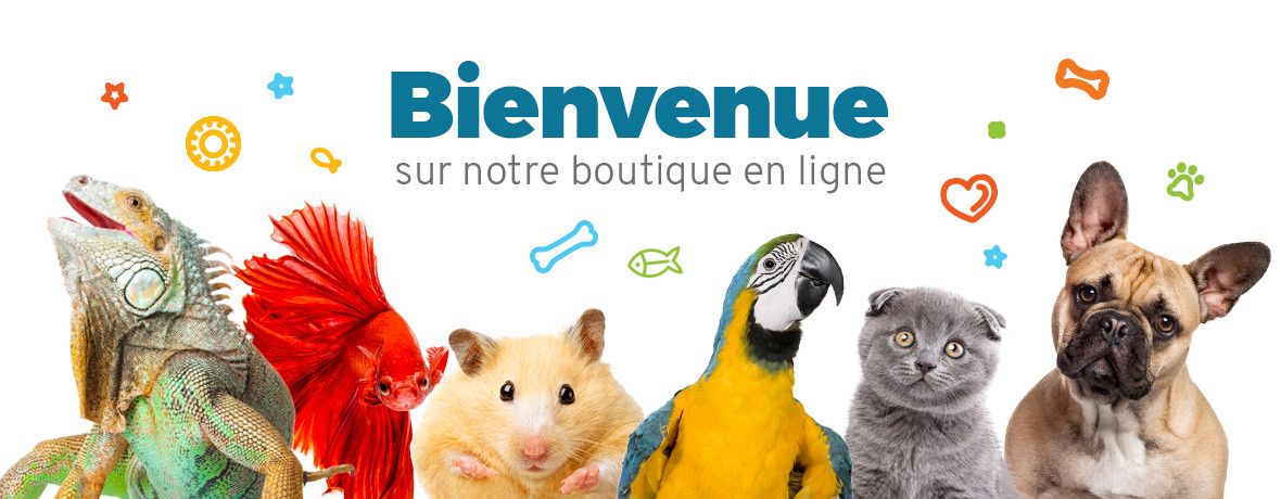 Accessoires pour chats - Animalerie Animal Shop Maroc